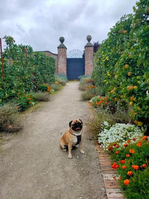 Rudding Park Kitchen Garden