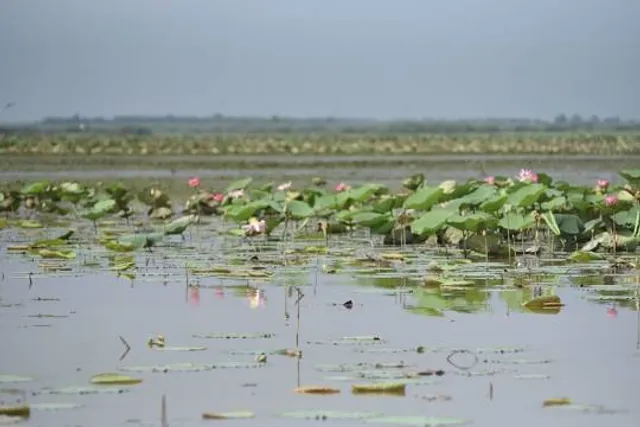 دهستان چهارفریضه
