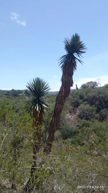 Zontecomatlán de López y Fuentes
