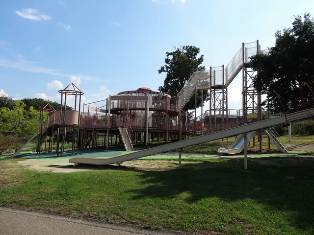 Large Playground Equipments
