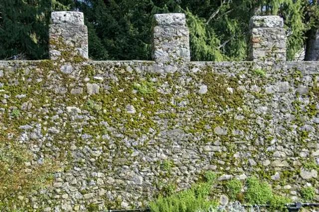 Rock Garden, Calhoun
