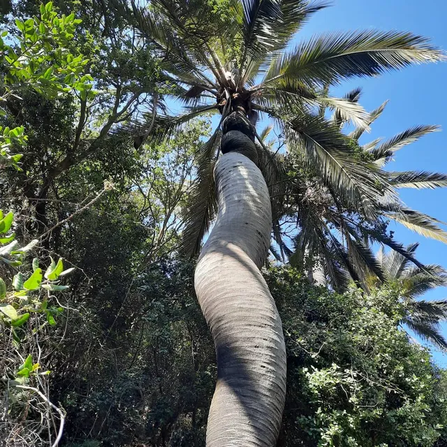 Kan-Kan Natural Park