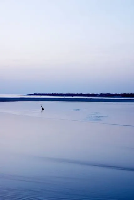 Réserve naturelle nationale de la baie de Canche