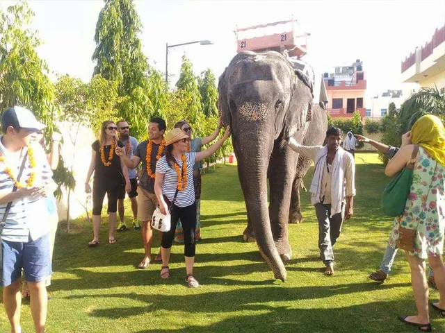 EleJungle - Nature & Elephant Safari in Jaipur