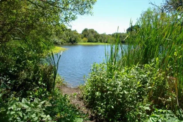 Antonelli Pond