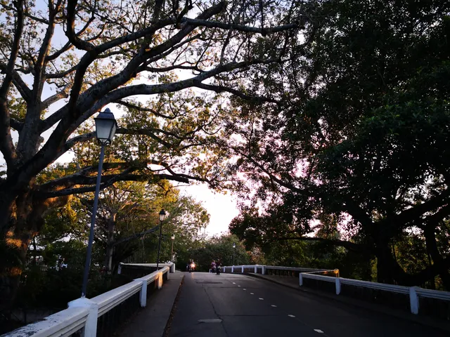 photo-2