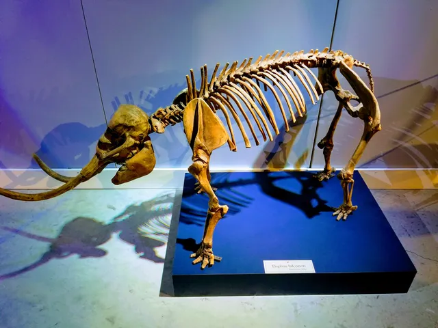 Texas Museum of Science & Technology