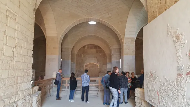 photo-1