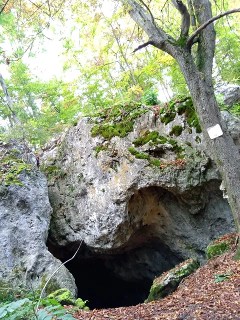 Hohlensteinhöhle