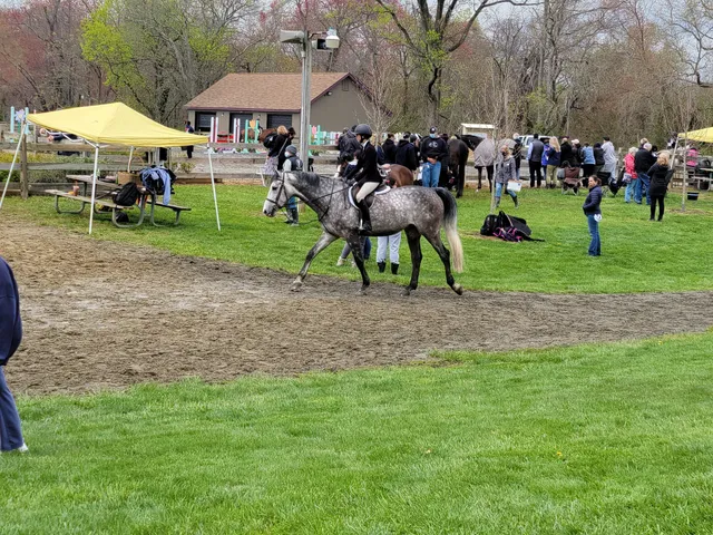 East Freehold Showgrounds