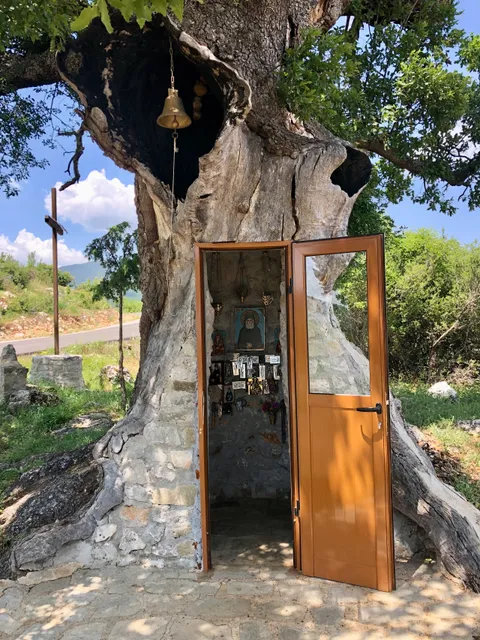 Tree-Church of St. Paisios