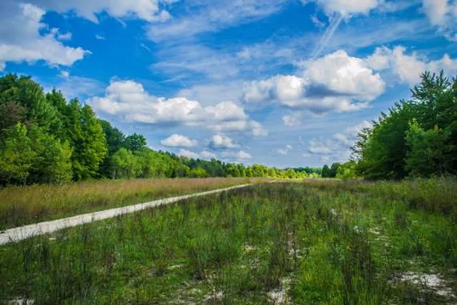 For-Mar Nature Preserve & Arboretum