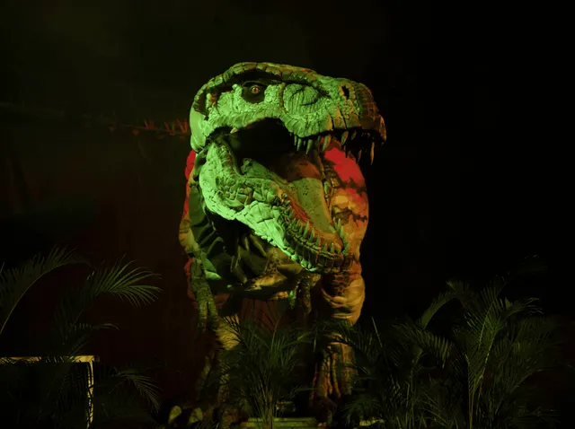 Museum of the Dinosaurs