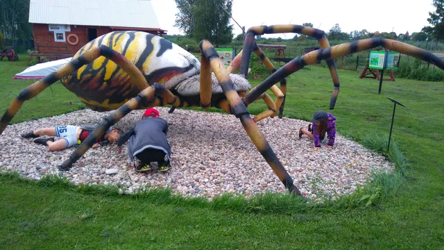 FlisakPark Tykocin, Muzeum Narwi, rejsy tramwajem wodnym "Malinka", Bar Narwianka