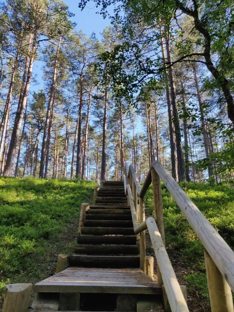 Oandu-Võsu matkarada