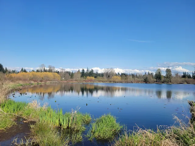 Lake Hills Greenbelt