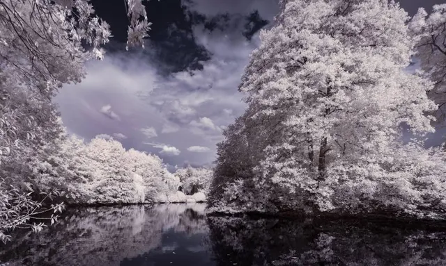 Avery Park & Natural Area