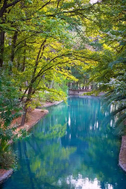 Parc Municipal de Sant Vicent