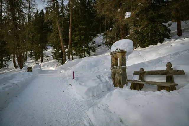 Hidden Bench Estate Winery