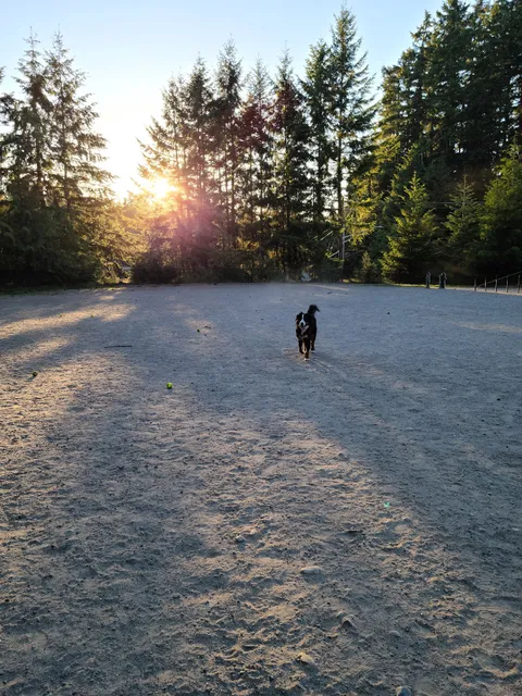 Lynndale Off-leash Dog Area