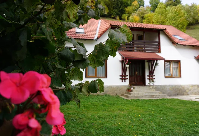 Celestia Camere de Inchiriat