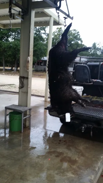 Bernhard Meat Processing