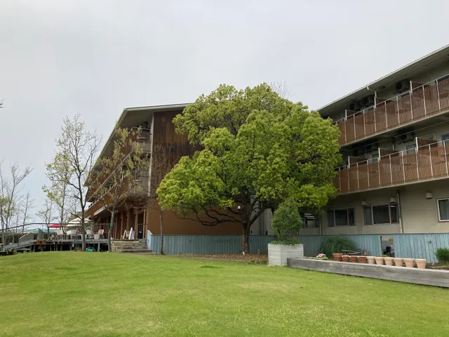 The Day Osaka Loghouses