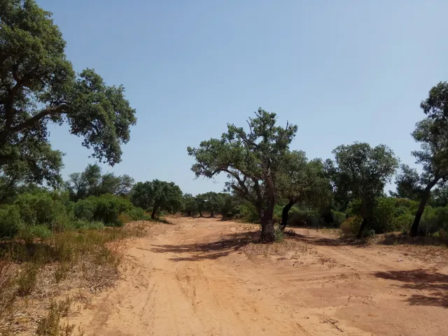 Riserva Naturale Orientata Bosco di Santo Pietro