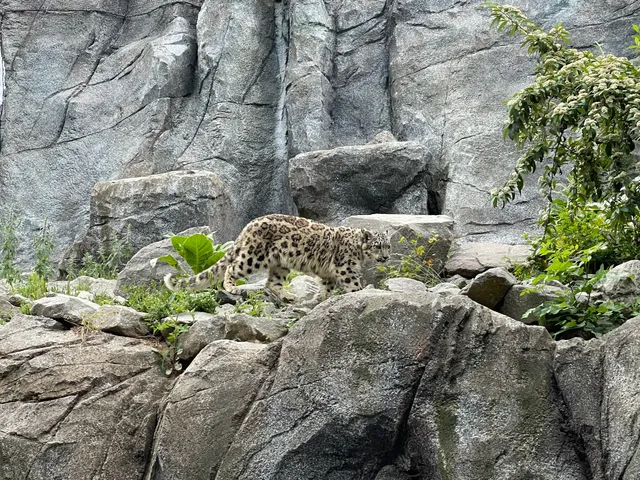 Hochgebirgslandschaft Himalaya