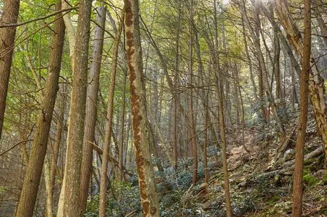 photo-3