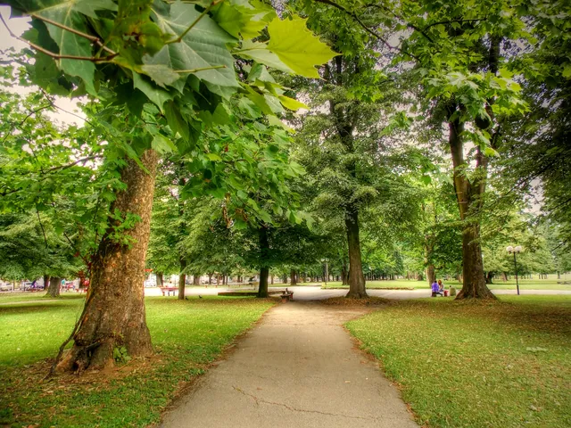 place image