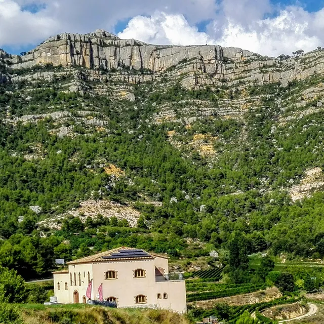 Celler Joan Ametller