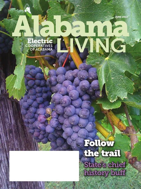 Jules J Berta Vineyards