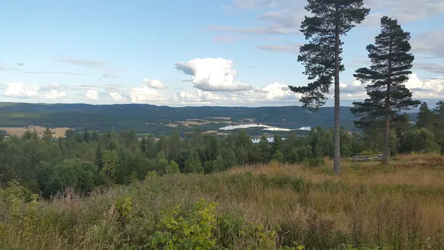 Vardåsen