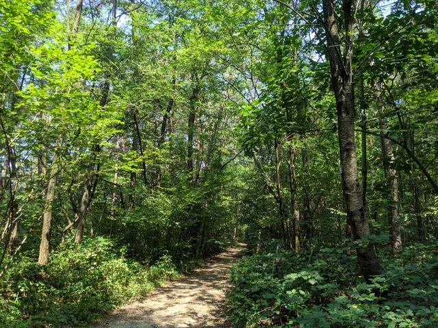 Parco della Pineta di Appiano Gentile e Tradate