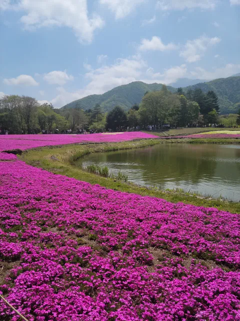 Peter Rabbit English Garden
