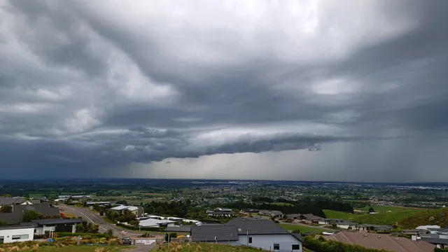 Kennedys Bush Track- Start Point