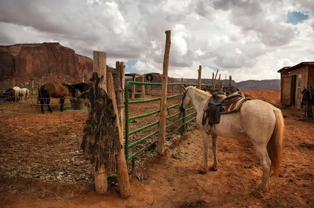 Paseo del Viejo Oeste