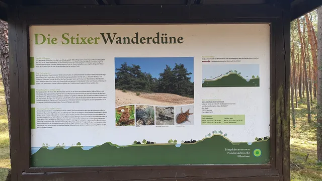 Stixer Wanderdüne