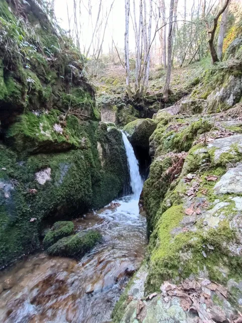 Les gorges du désert