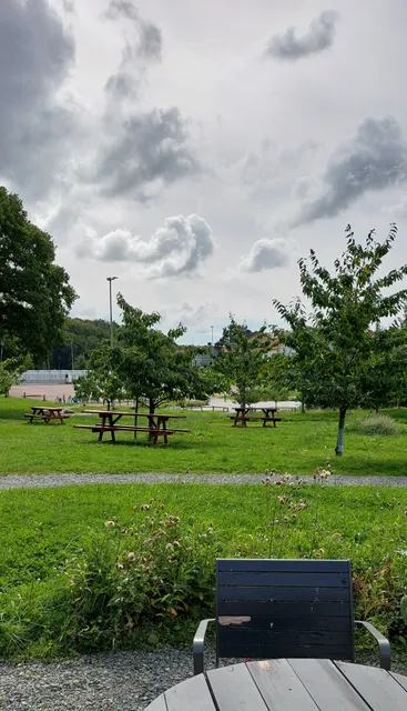 Slottsskogens fruktlund