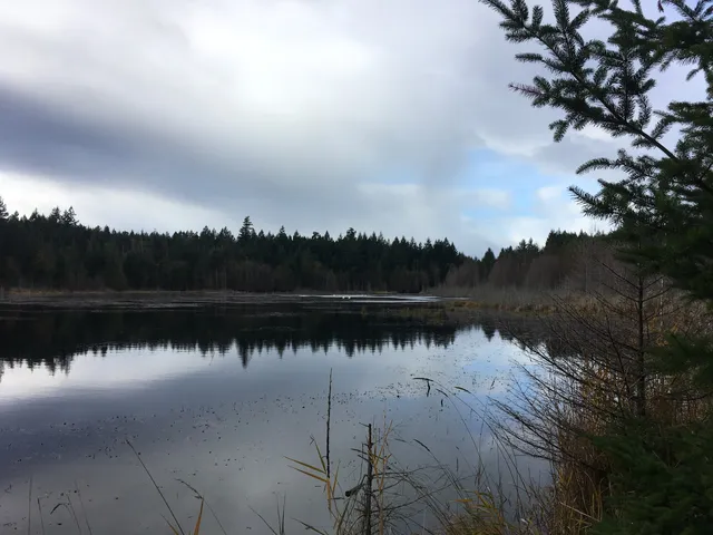 Coats Marsh Regional Park