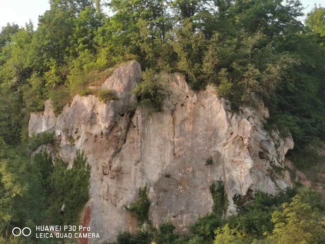 Pont de Sinzing sur le Danube