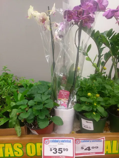 Supermercados Pueblo