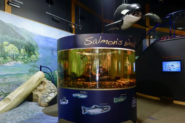 Quatse Salmon Stewardship Centre