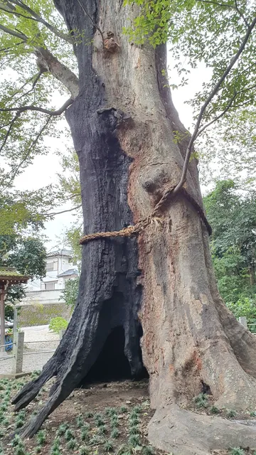 Shiroyamainari Shrine