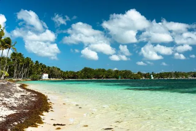 The beach of Caravelle