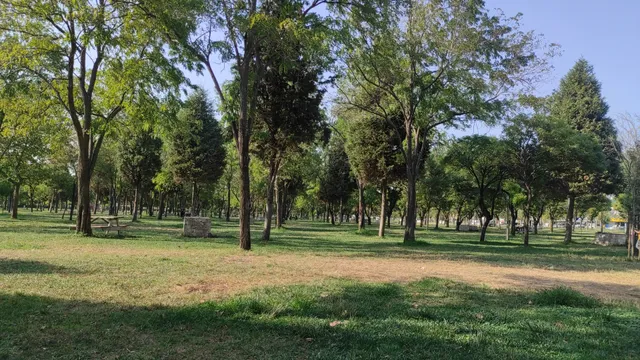 Irlamaz Rekreasyon Alanı