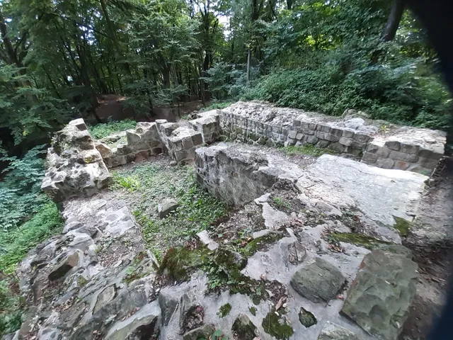 Rezerwat przyrody Golesz