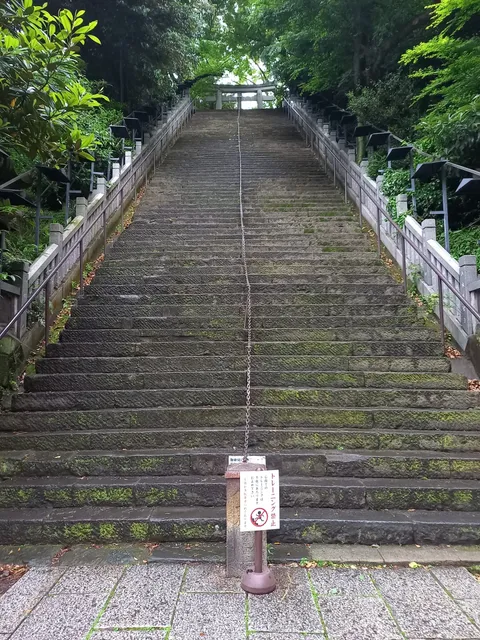 photo-3